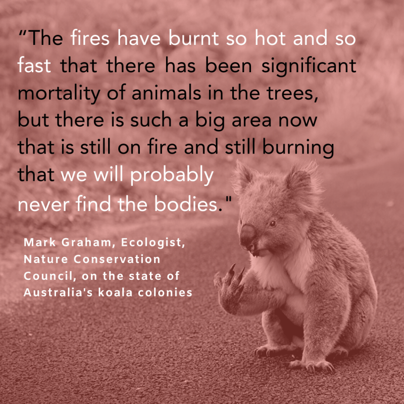 Wildlife matters too